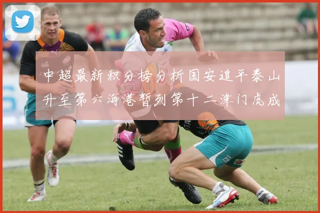 中超最新积分榜分析国安追平泰山升至第六海港暂列第十二津门虎成功摆脱垫底困境